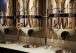 thumbs_Gallery4