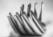 thumbs_Gallery6